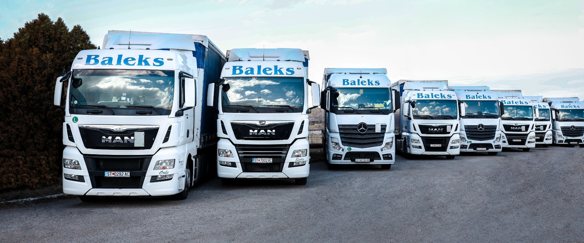 Home - Baleks